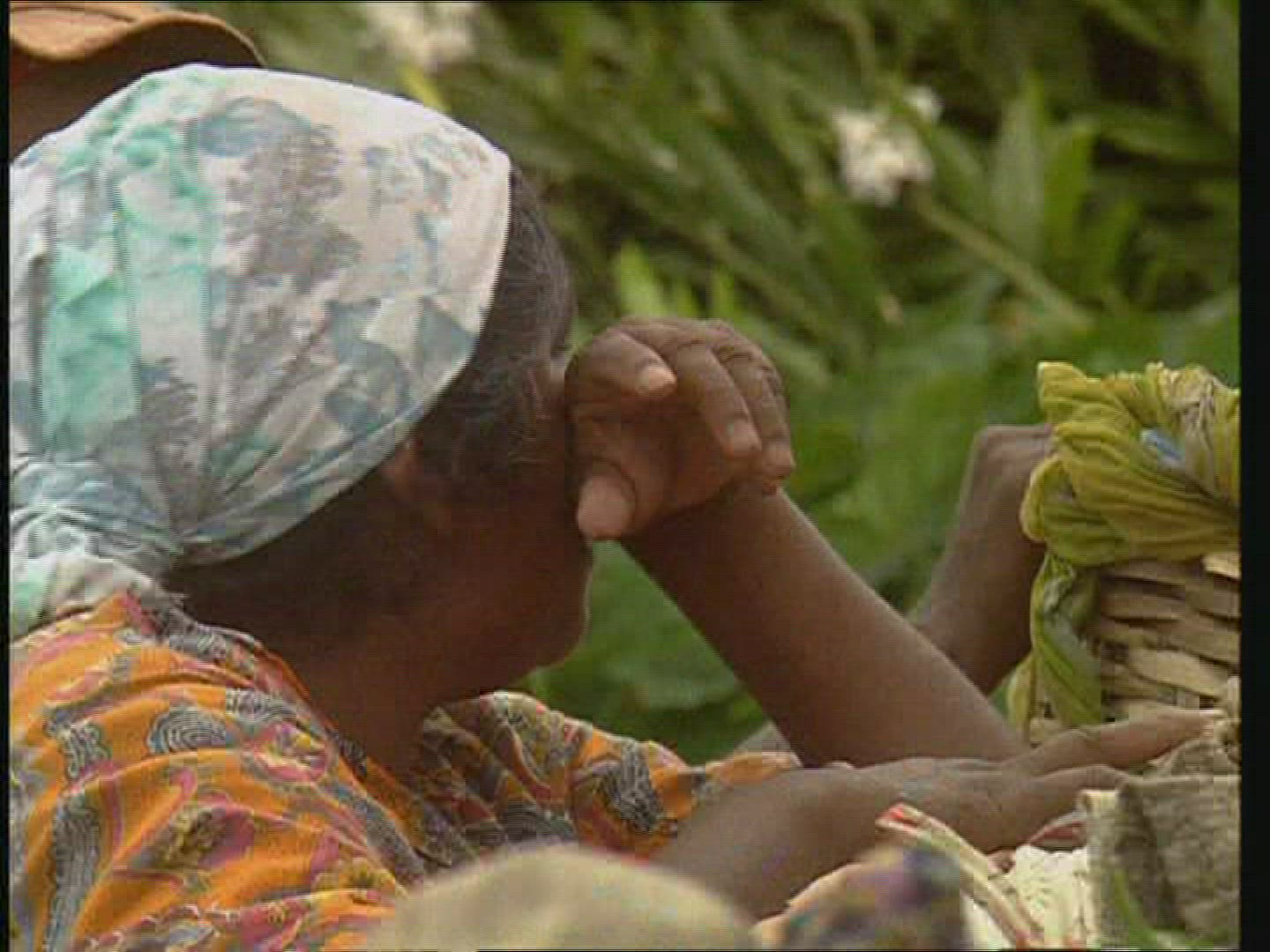 237408900 / Seniors / Mauritius