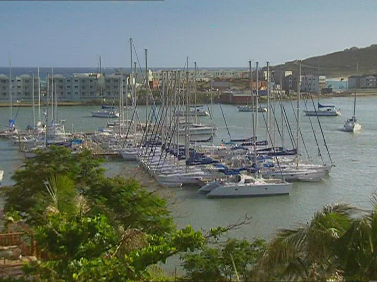 276818006 / Sailing Boat / Harbor