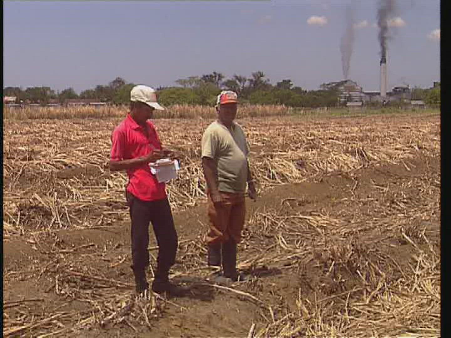 972853221 / Sugar Cane Plantation / Transport / Jamaica