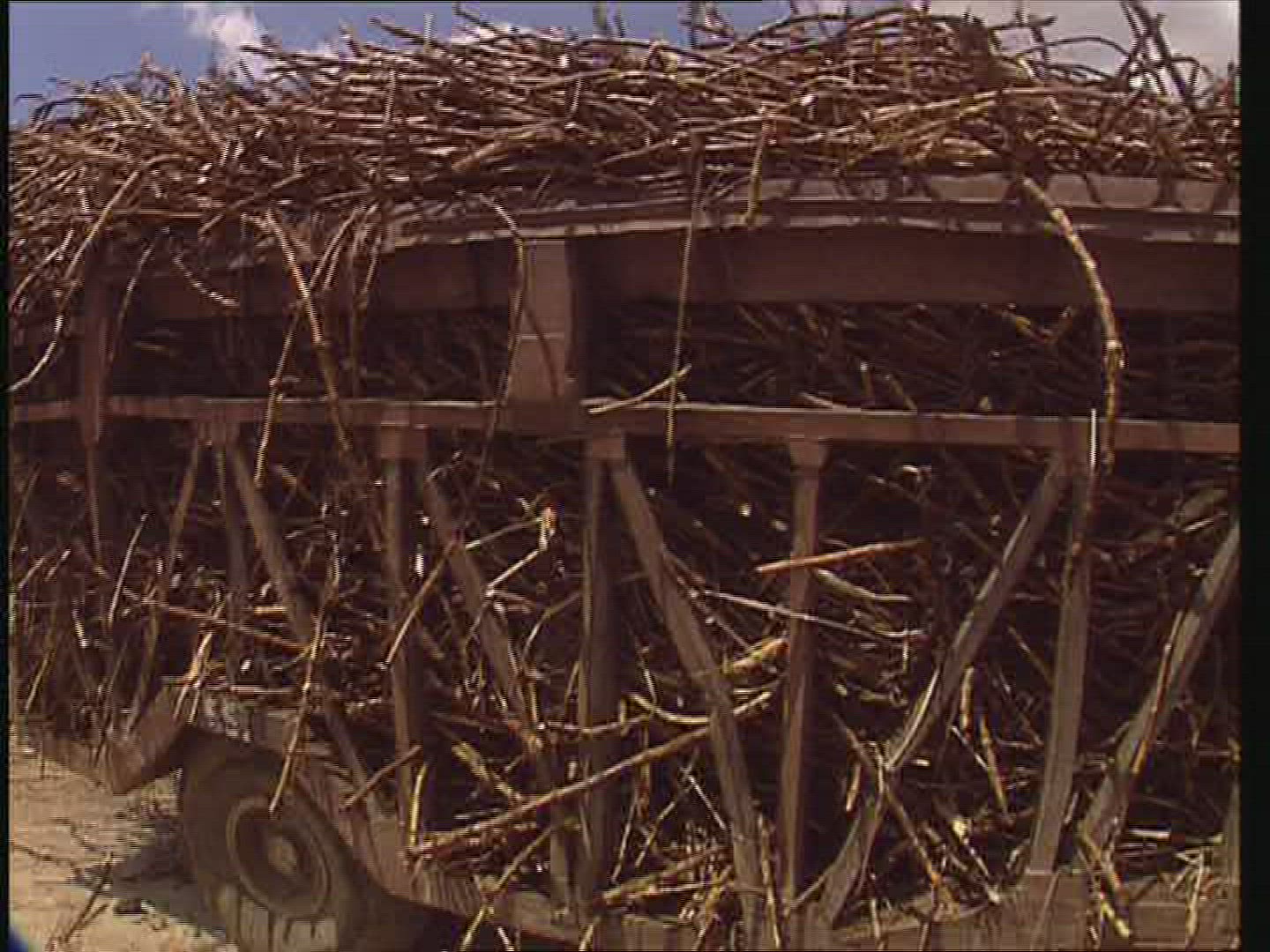 821367144 / Sugar Cane Plantation / Transport / Jamaica