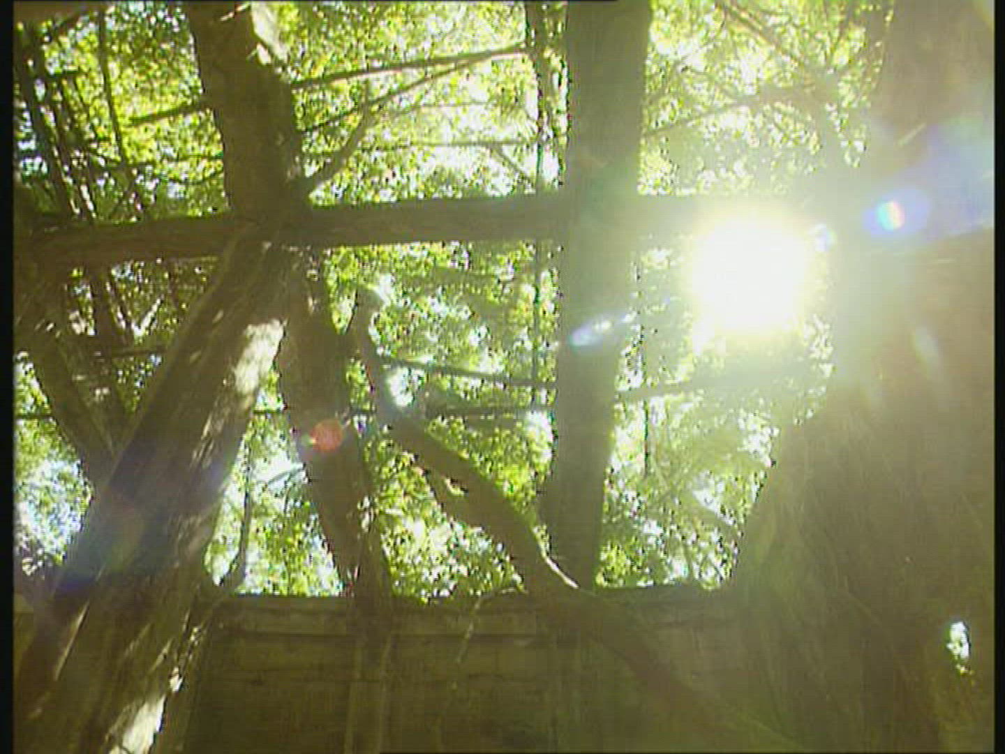 615649833 / Warehouse / Debris / Rainforest / South Pacific