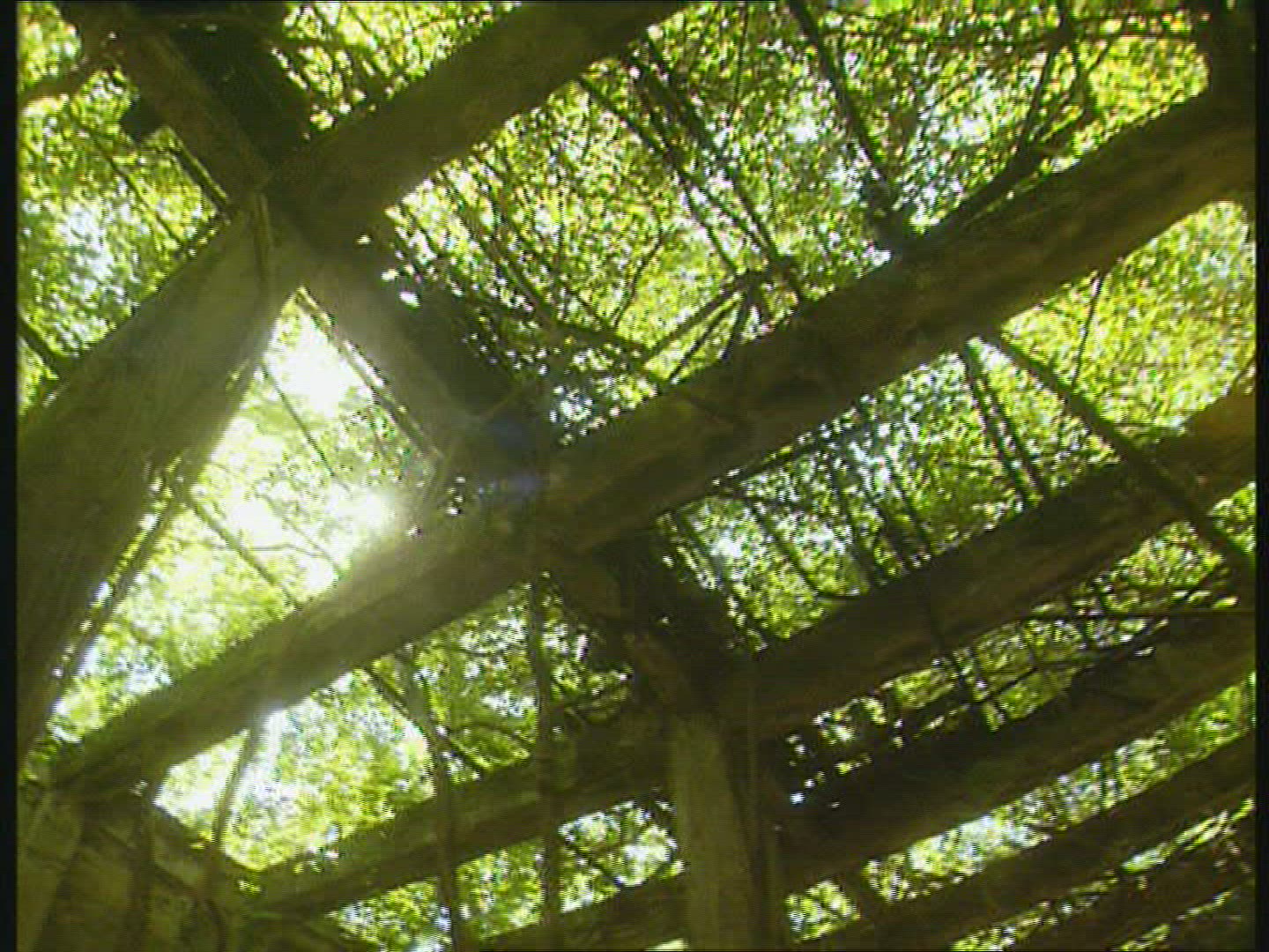318872833 / Warehouse / Debris / Rainforest / South Pacific