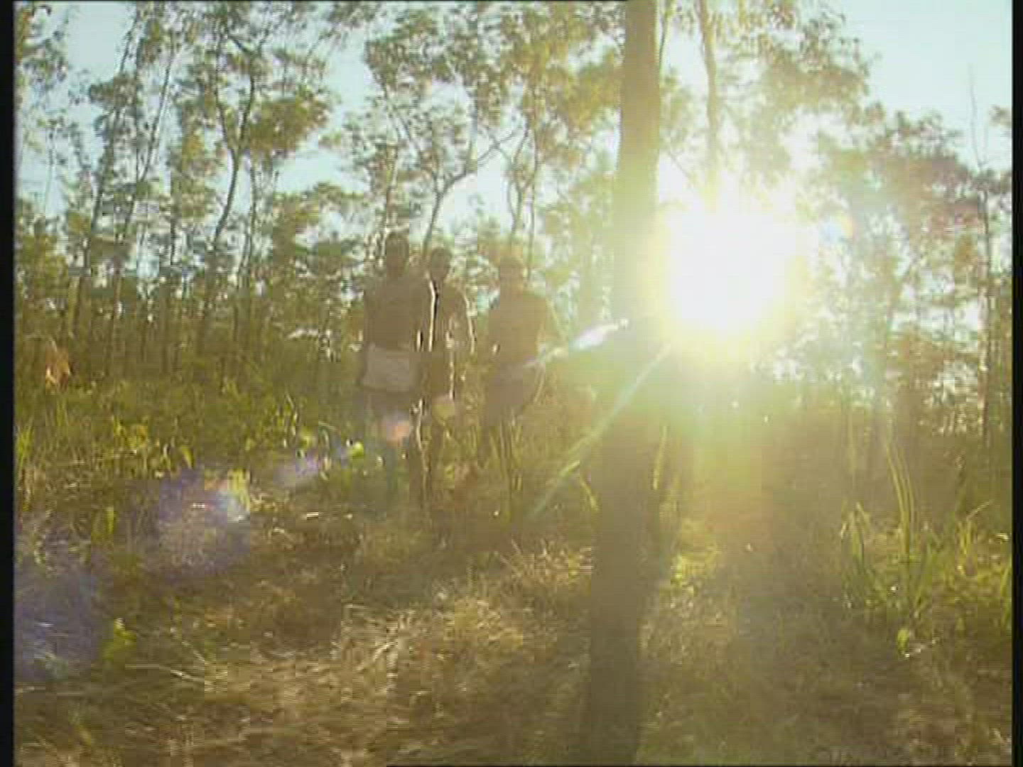 288123520 / Music / Singing / Aborigine / Australia 288123520 / Music / Singing / Aborigine / Australia