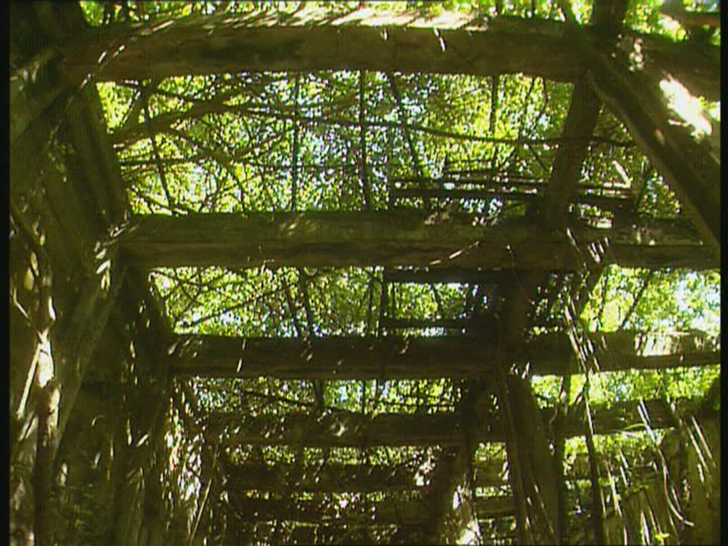 726889873 / Warehouse / Debris / Rainforest / South Pacific