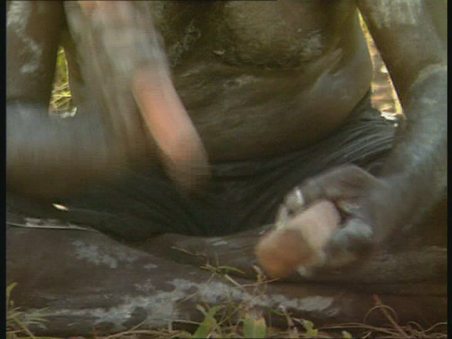 971462059 / Music / Singing / Aborigine / Australia 971462059 / Music / Singing / Aborigine / Australia