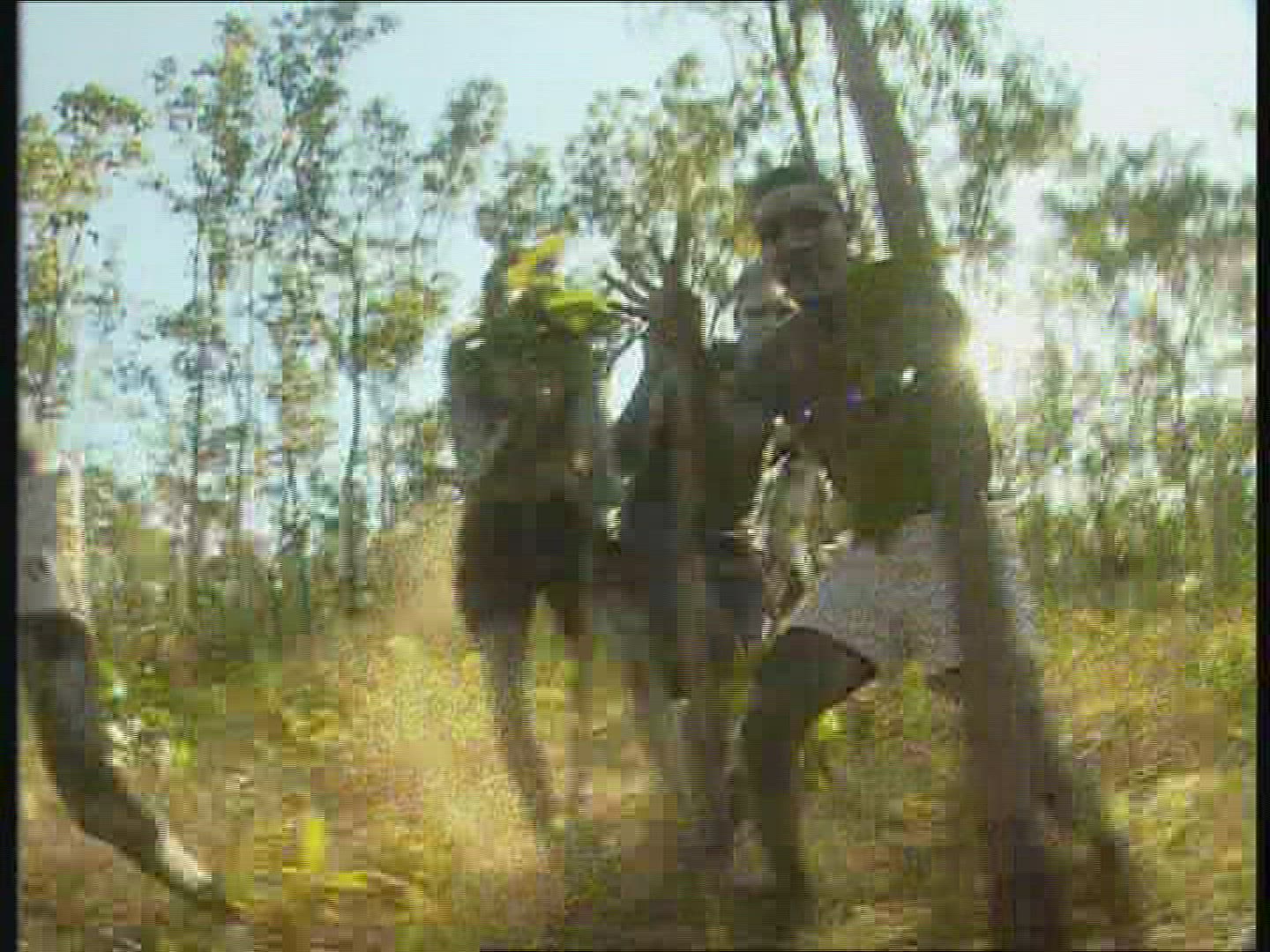 591992754 / Music / Singing / Aborigine / Australia 591992754 / Music / Singing / Aborigine / Australia