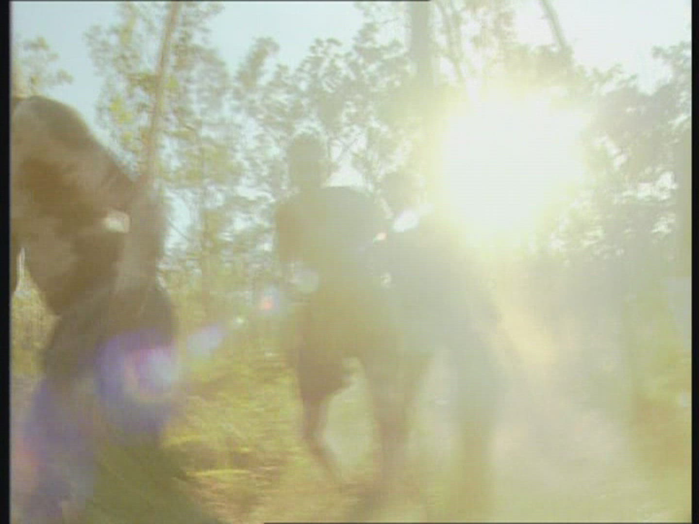 725963261 / Music / Singing / Aborigine / Australia 725963261 / Music / Singing / Aborigine / Australia