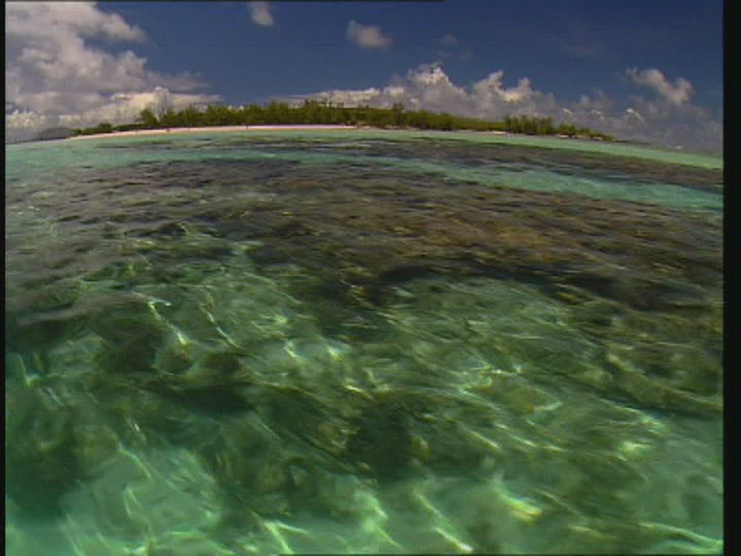 854678444 / Coast / Beach / Indian Ocean / Mauritius