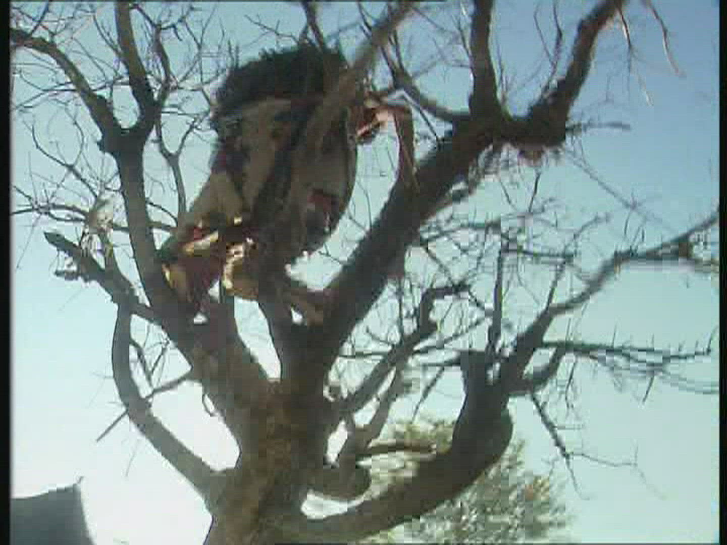 214755000 / Mask Dance / Music / Zambia