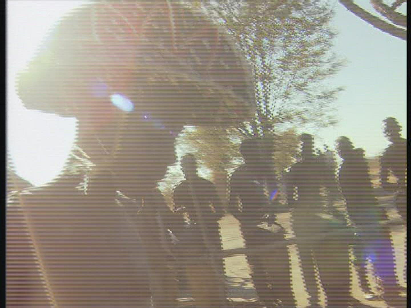 346243543 / Mask Dance / Rite / Zambia