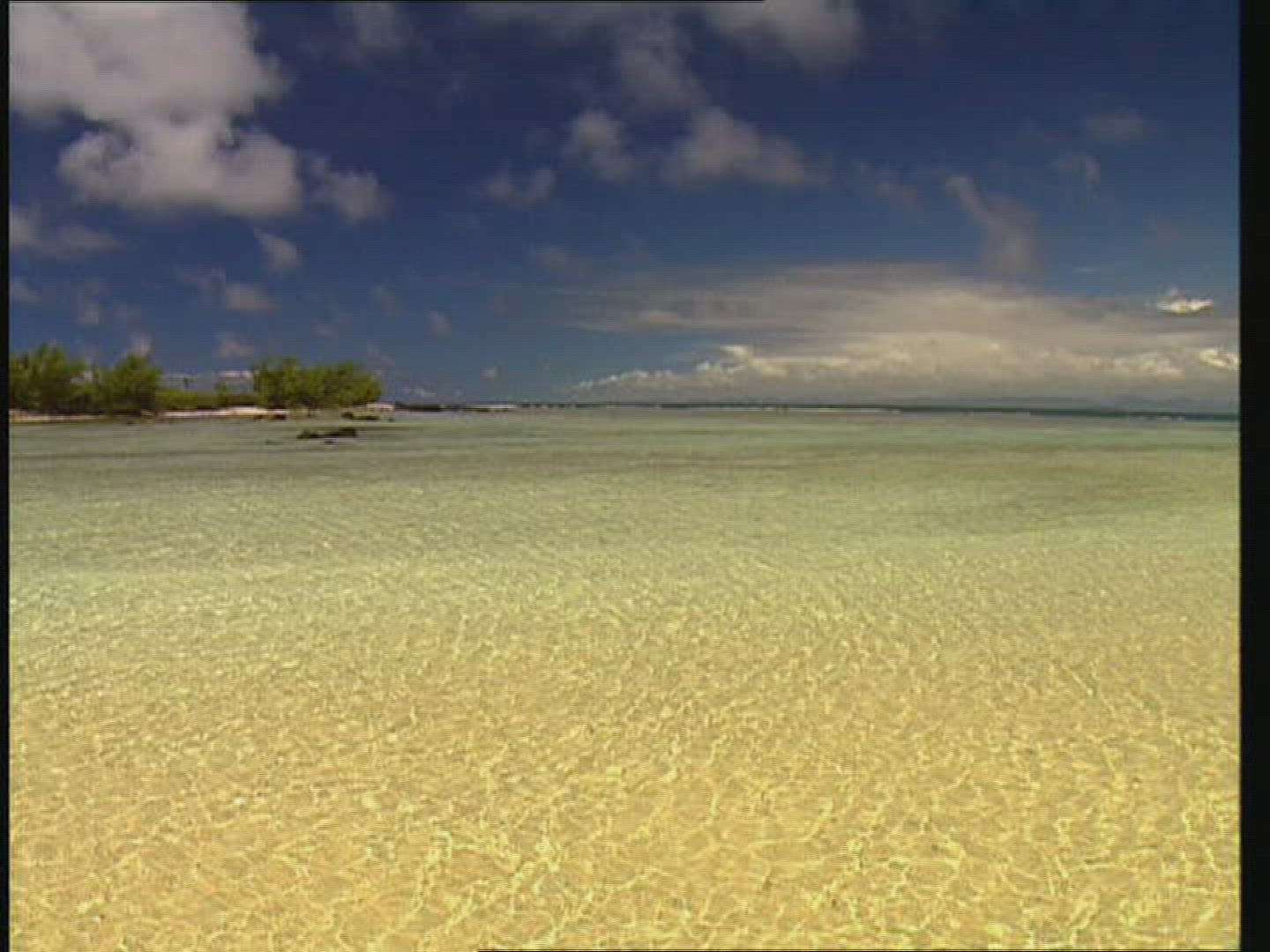 302458195 / Beach Life / Indian Ocean / Mauritius