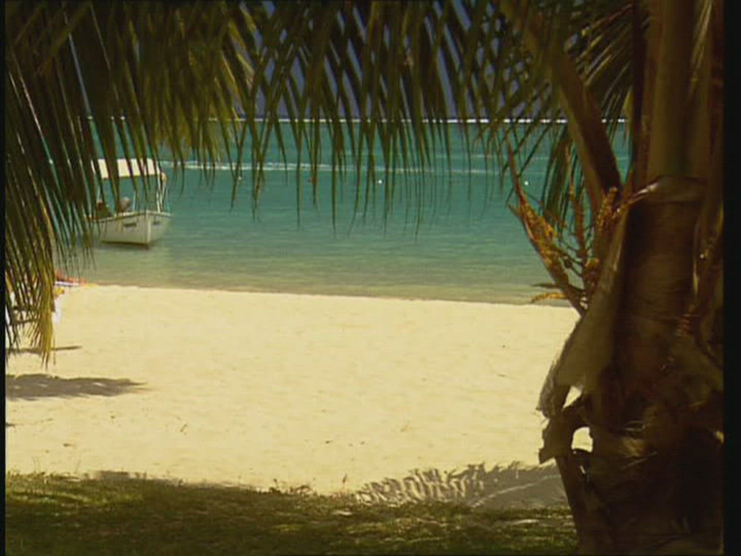 990247234 / Beach Life / Indian Ocean / Mauritius