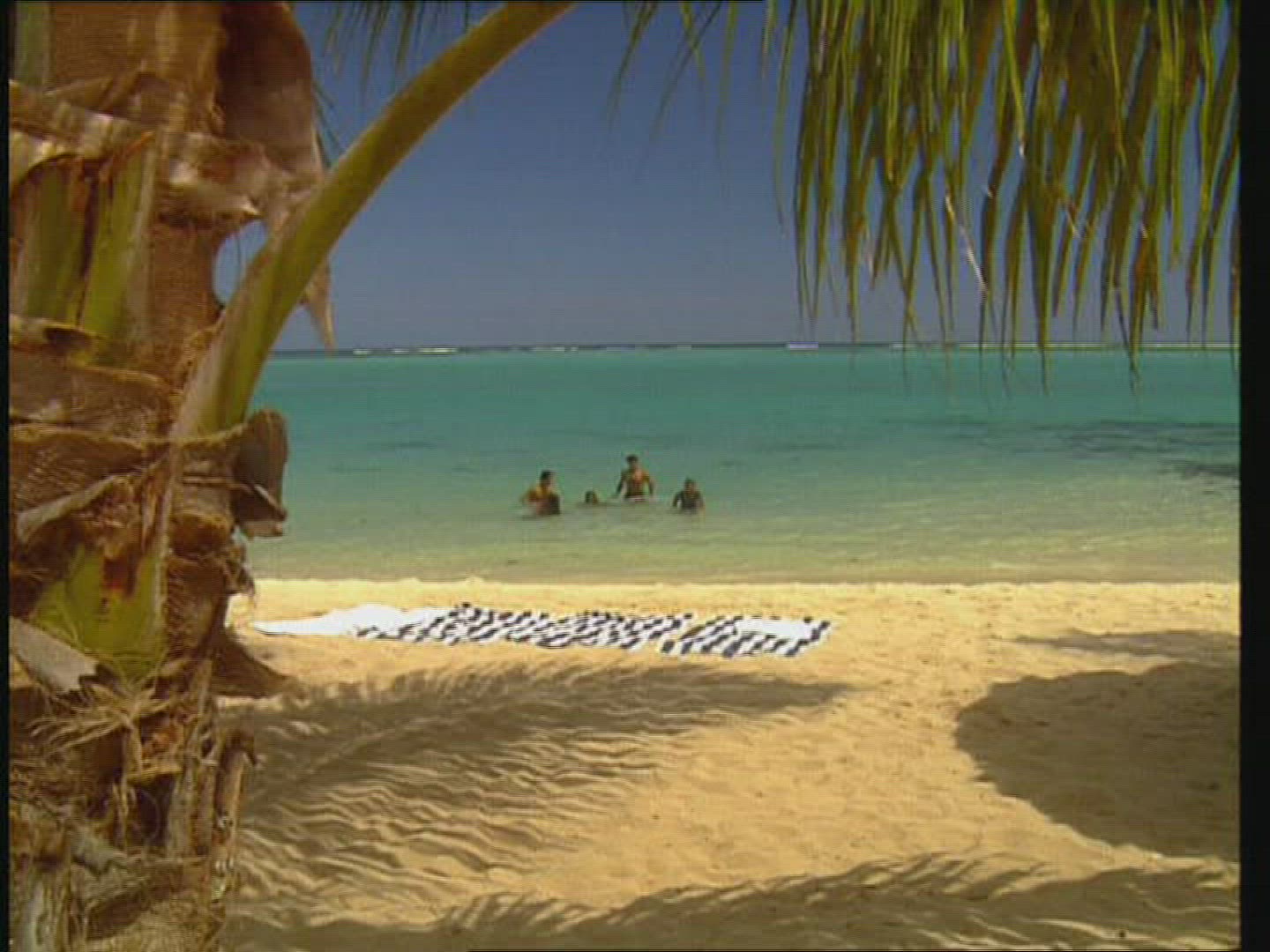 428018758 / Beach Life / Indian Ocean / Mauritius