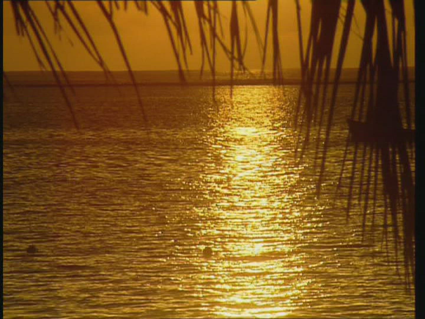 103488861 / Sunset / Dusk / Indian Ocean / Mauritius