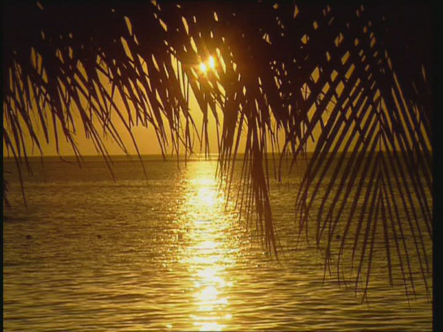 809272544 / Sunset / Dusk / Indian Ocean / Mauritius
