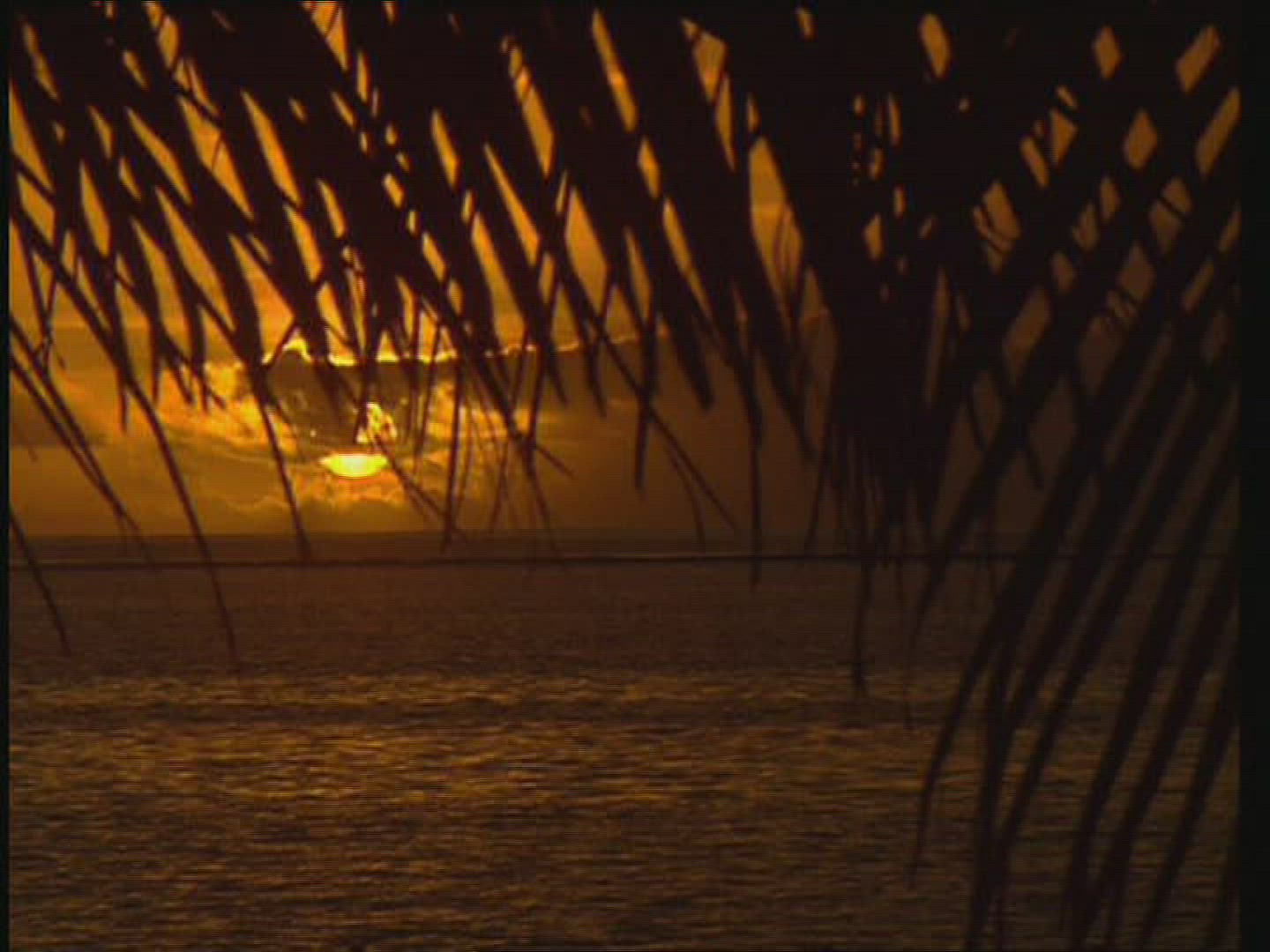 801421261 / Sunset / Dusk / Indian Ocean / Mauritius