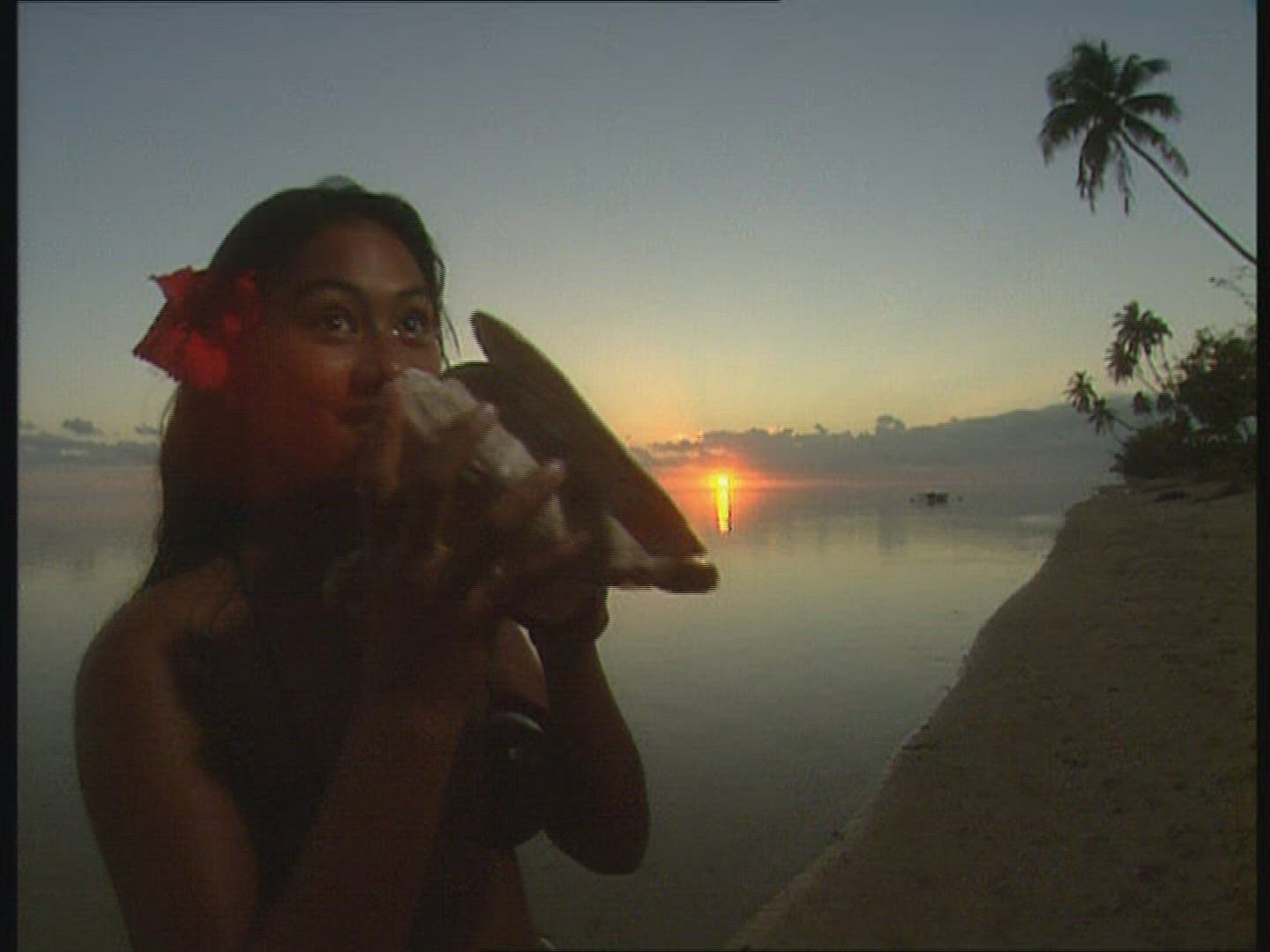 480640619 / Music / Folklore / Tahiti