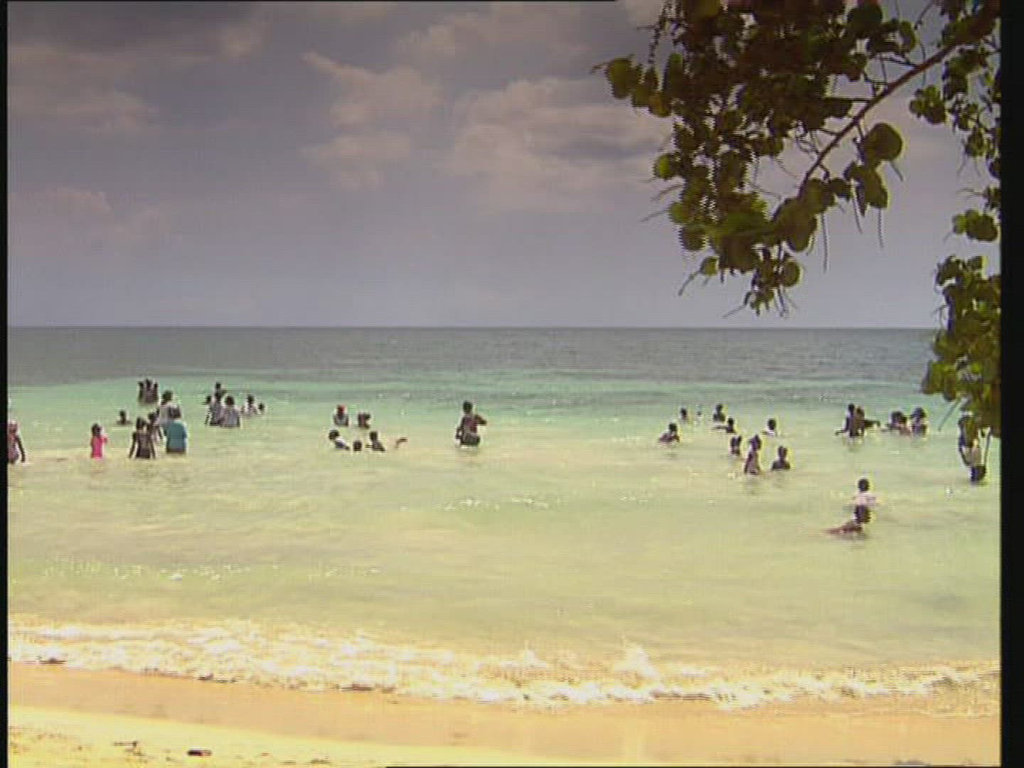 456767690 / Beach Life / Caribbean Sea / Jamaica