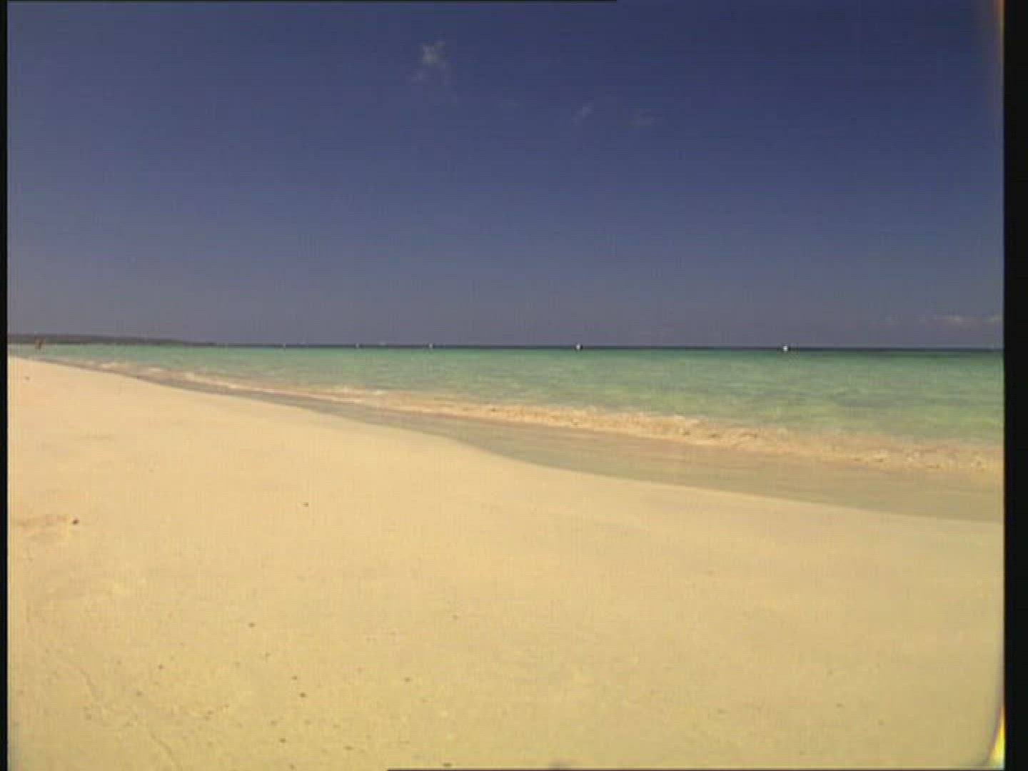 935341115 / Beach Life / Caribbean Sea / Jamaica