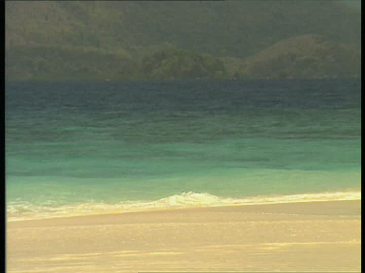 739282939 / Beach Life / Philippines