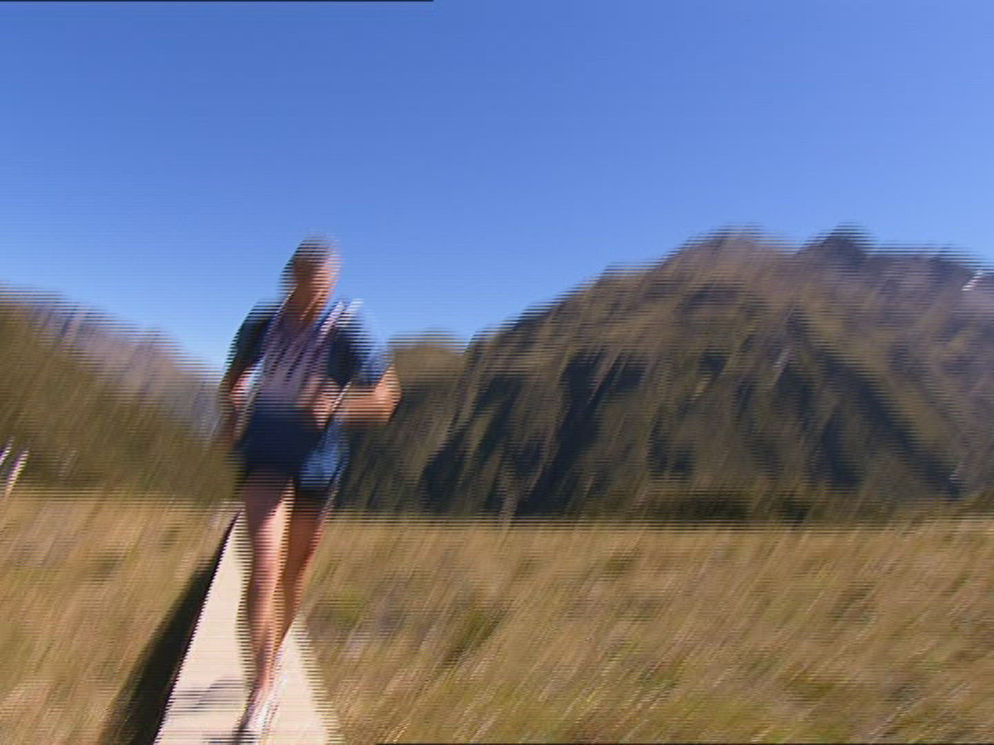 412132493 / Race / Running / New Zealand