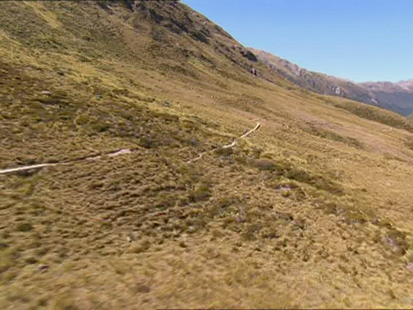 438298744 / Race / Running / New Zealand