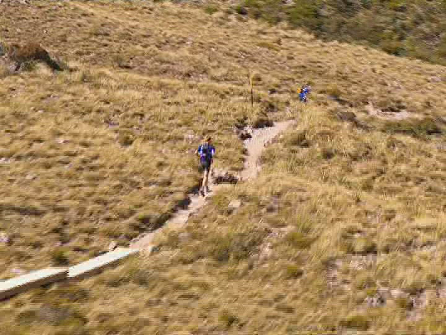 151177059 / Race / Running / New Zealand