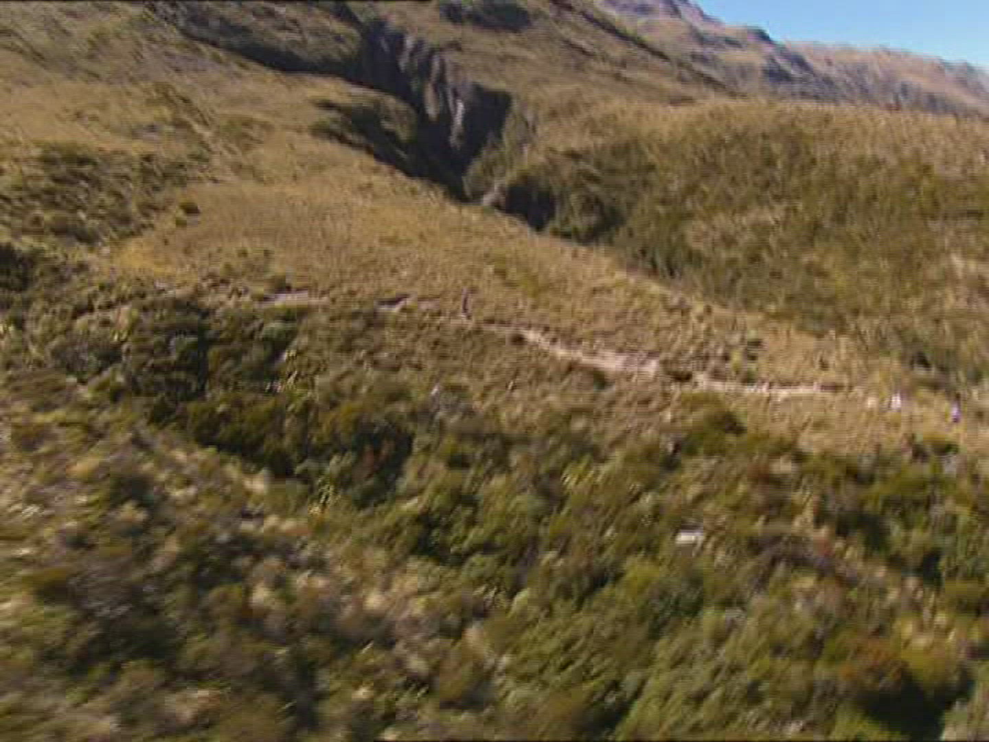 858013843 / Race / Running / New Zealand