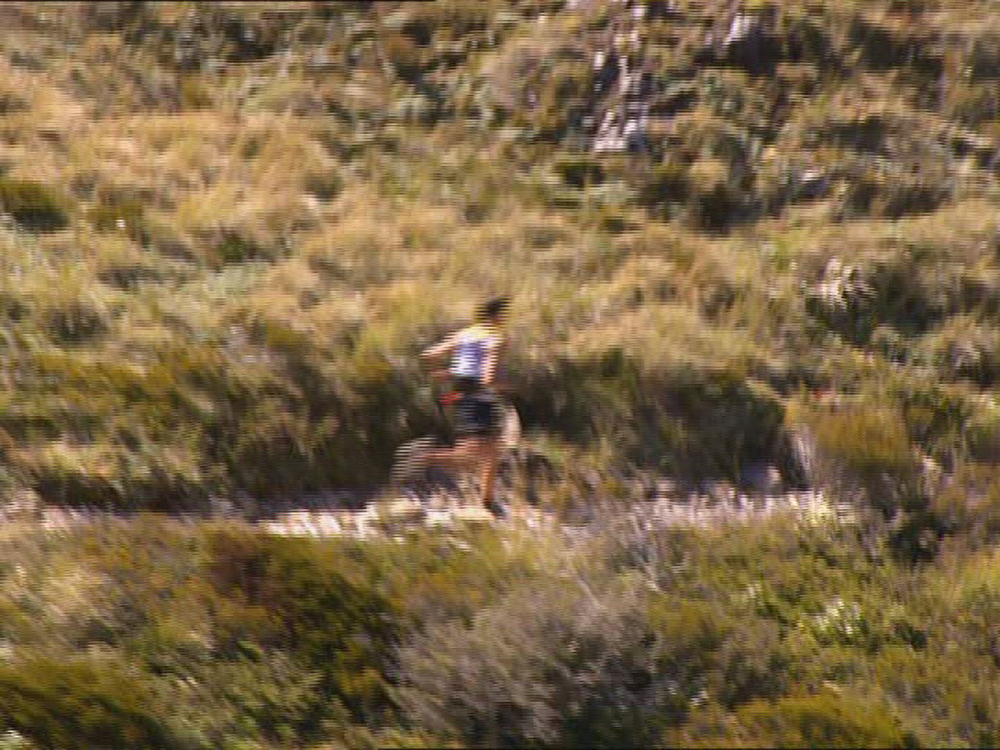 507165251 / Race / Running / New Zealand