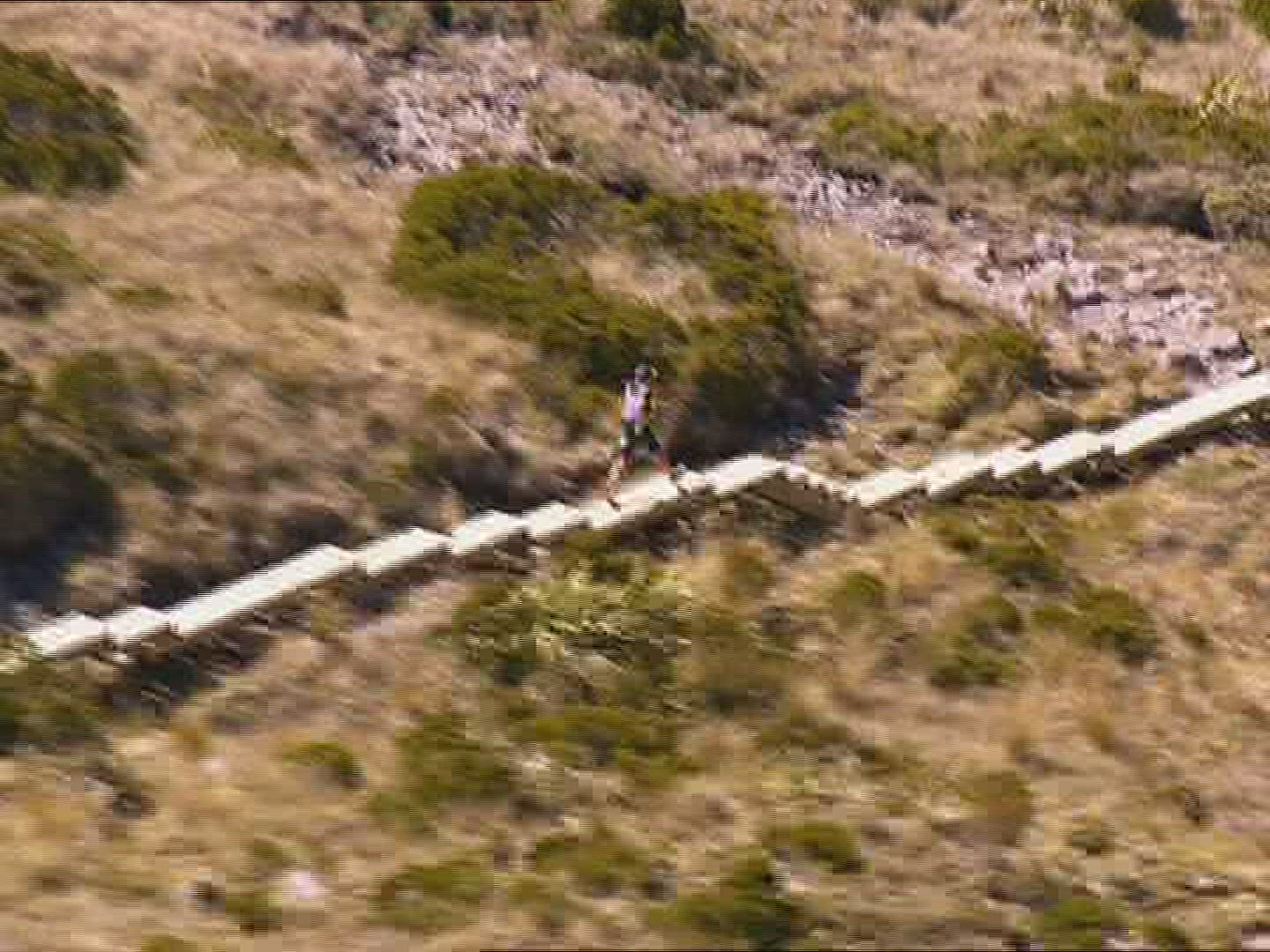 854979116 / Race / Running / New Zealand