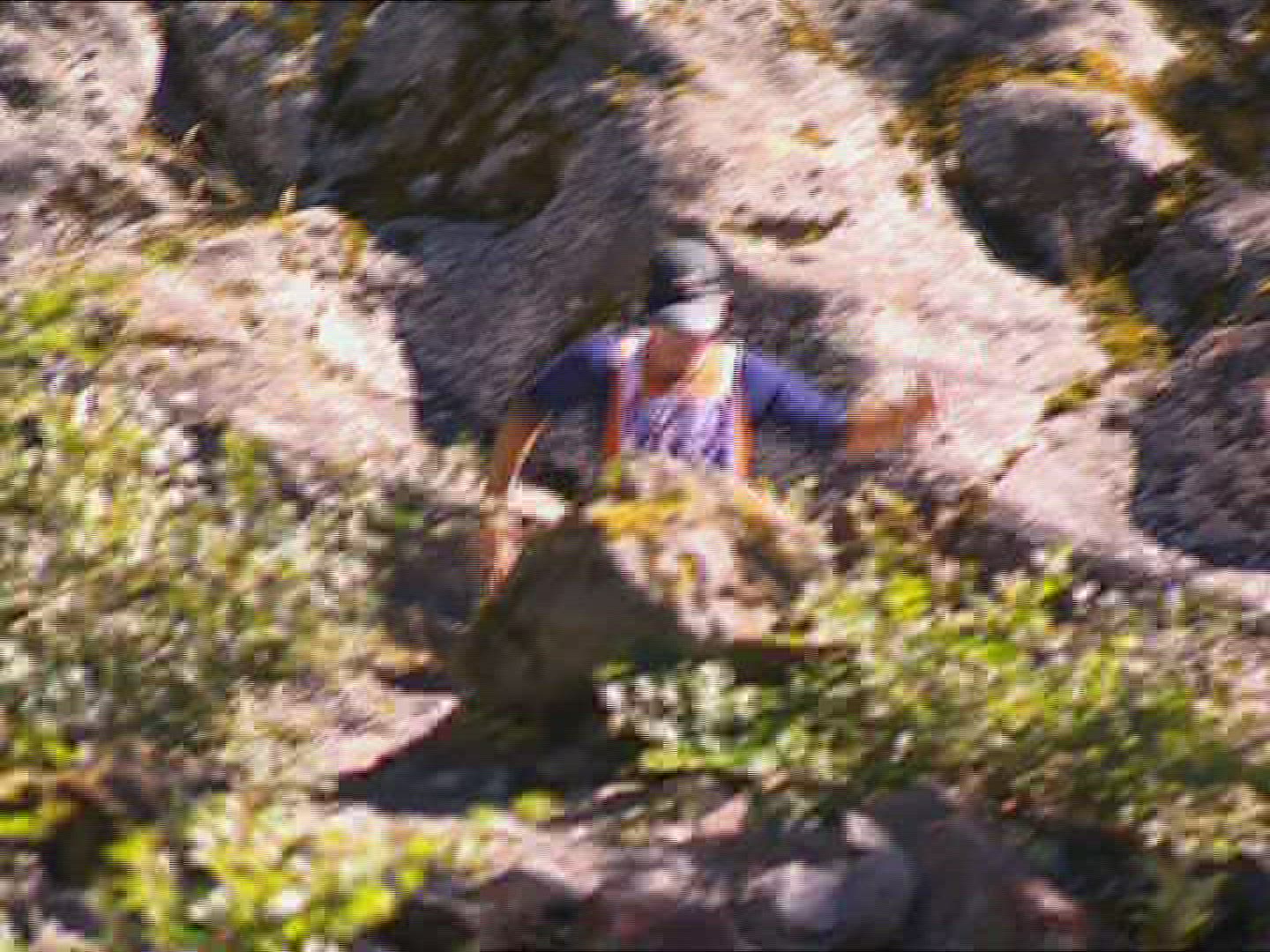 655977522 / Race / Running / New Zealand