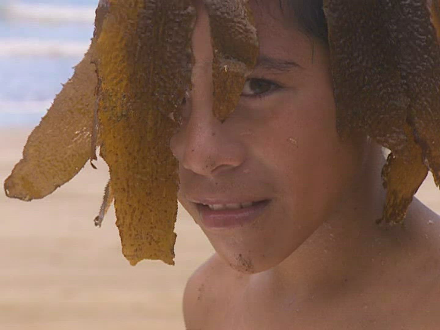 777962216 / Grimace / Maori / New Zealand