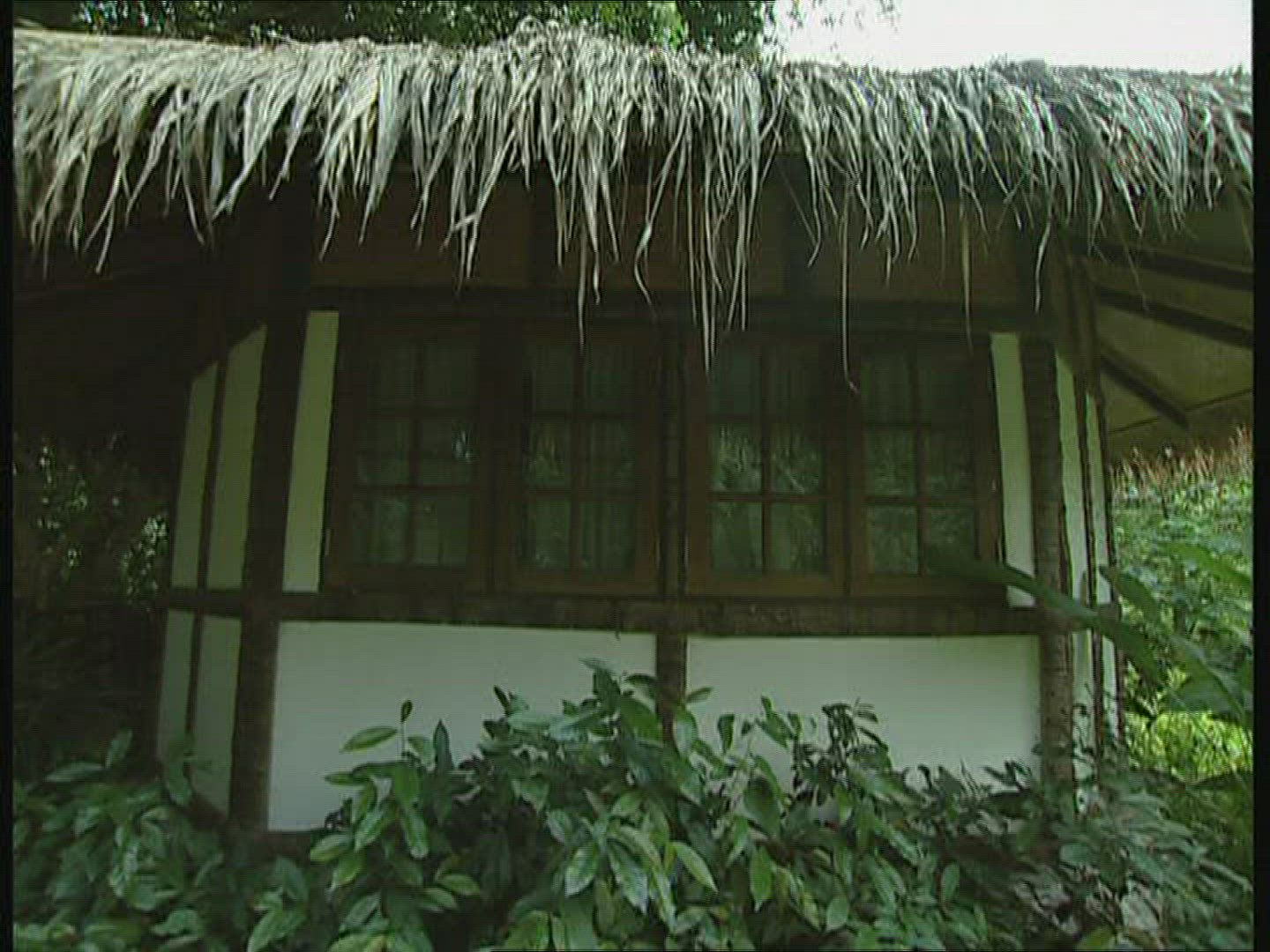 422982319 / House / Plant / Thailand