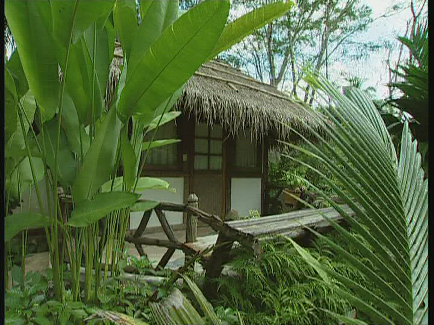 999968745 / House / Plant / Thailand