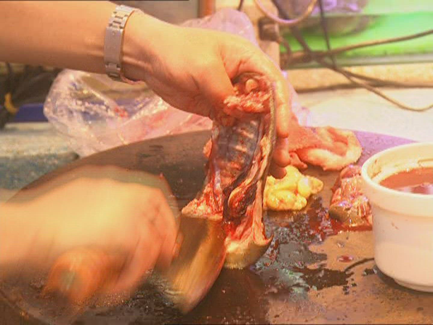 369898783 / Turtle / Cook / Preparing / Taiwan