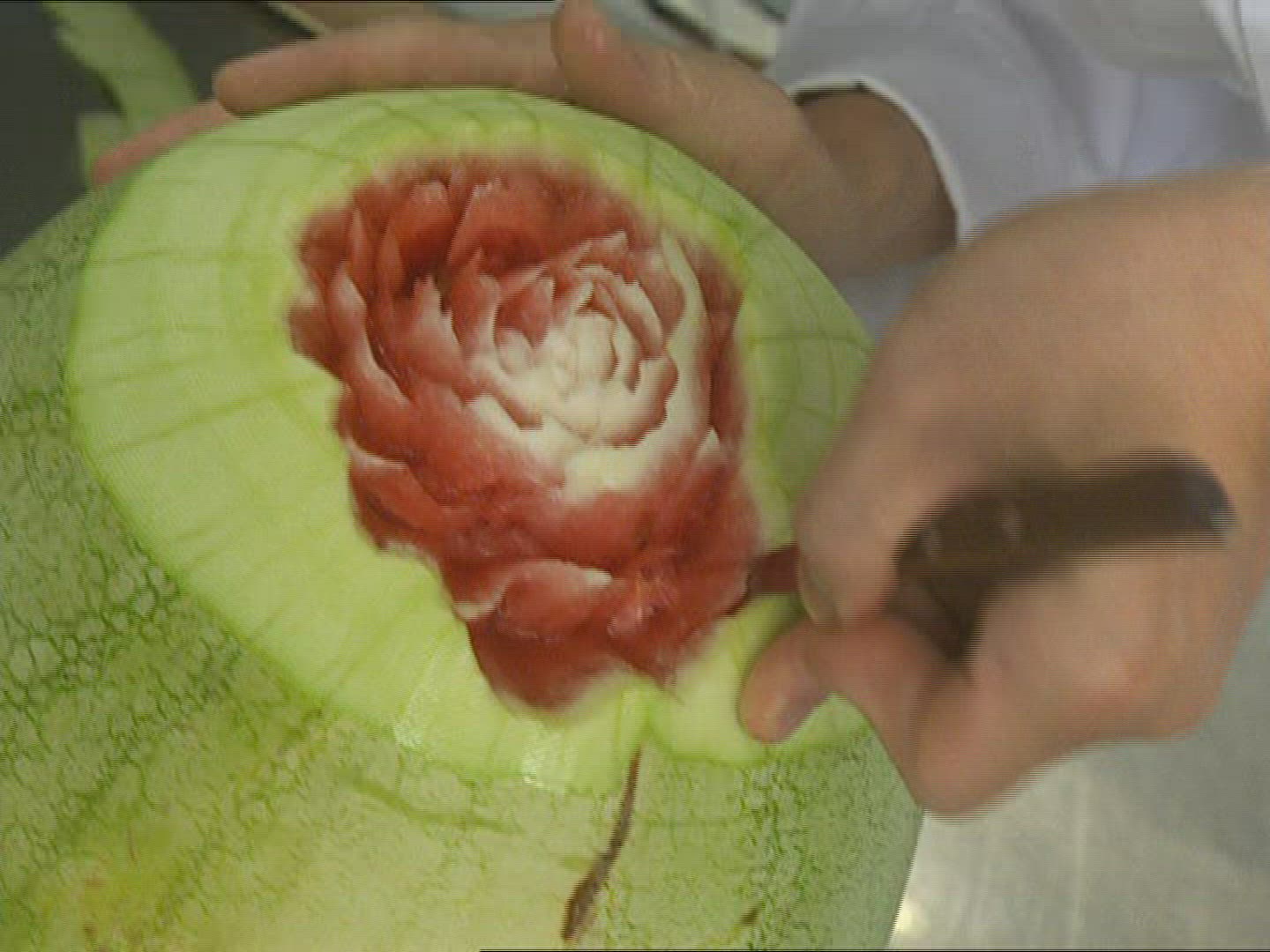 118783814 / Watermelon / Decoration / Cook / Taiwan