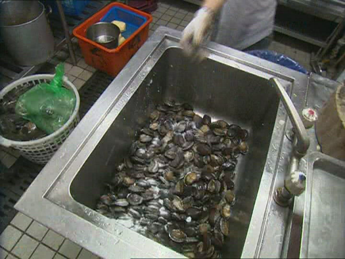 511561642 / Bivalve / Cook / Preparing / Taiwan