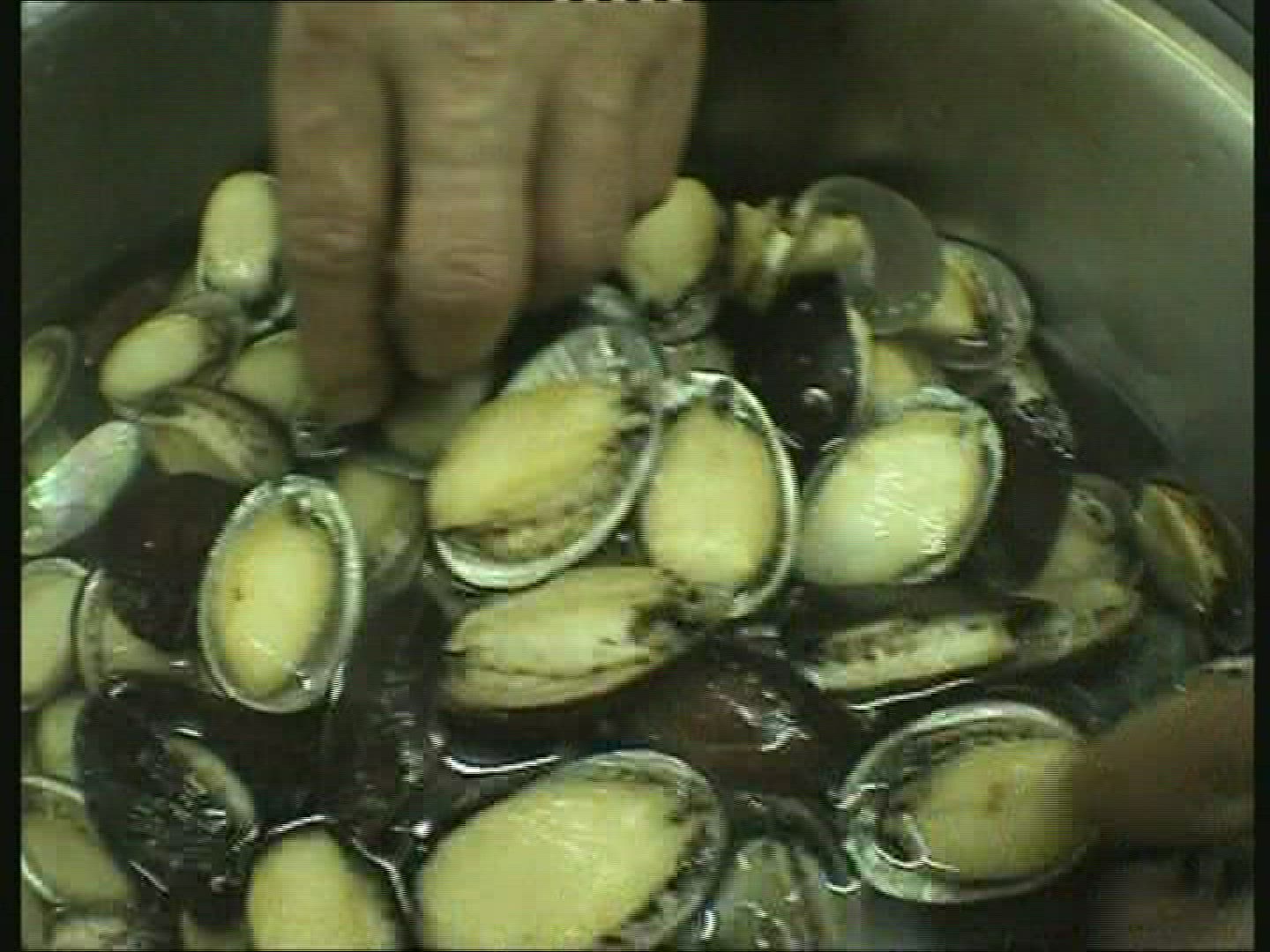975134593 / Bivalve / Cook / Preparing / Taiwan