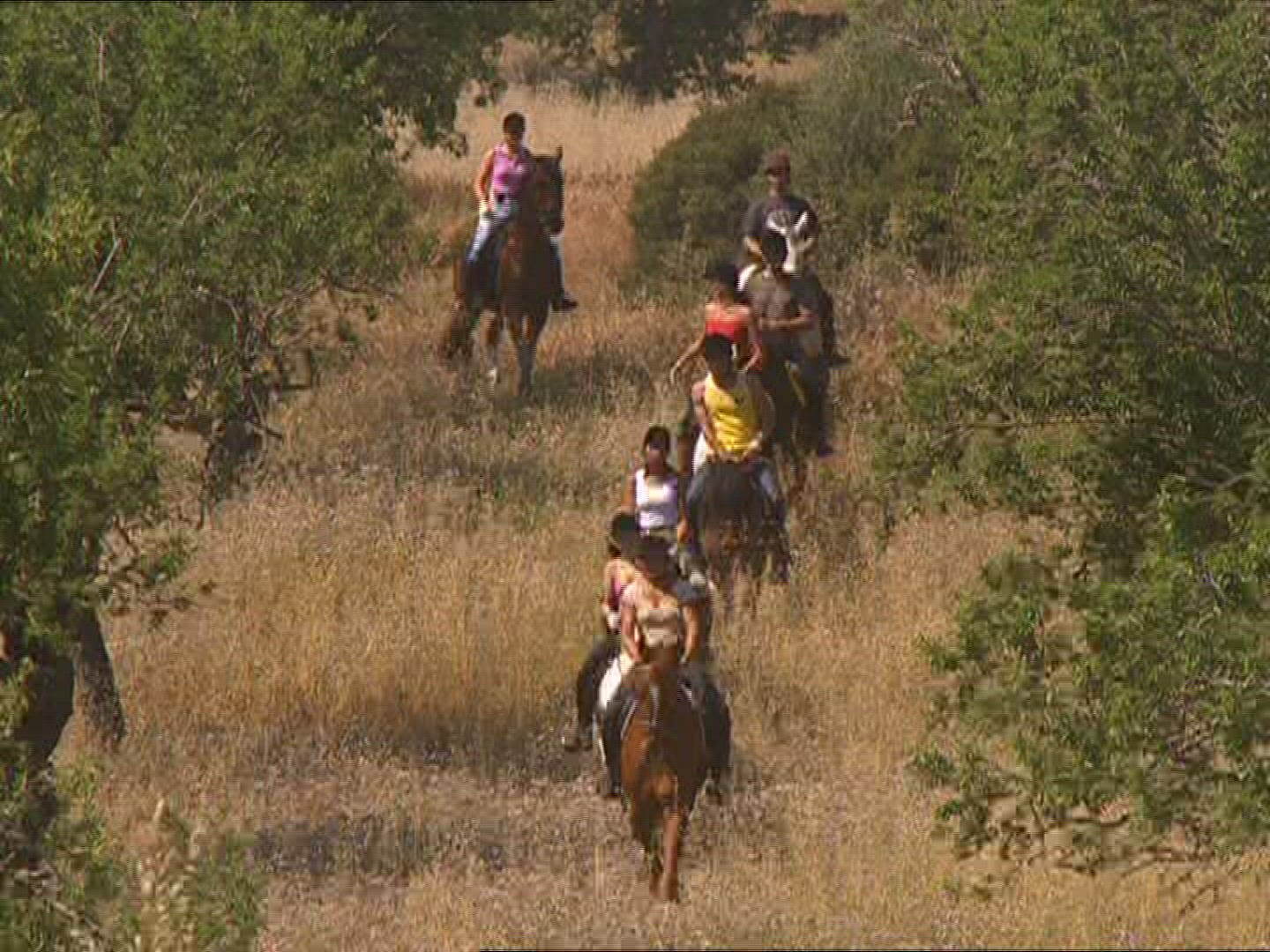 682718354 / Group of People / Riding / Mallorca / Spain