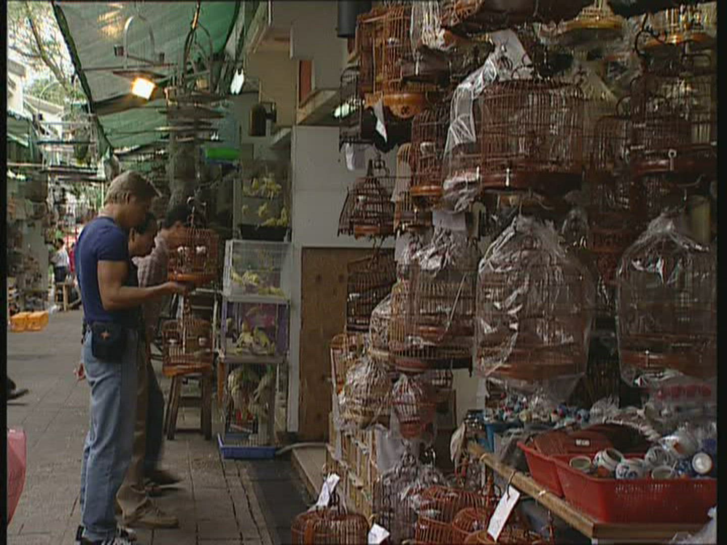 144355433 / Bird Market / Kowloon / Hong Kong / China
