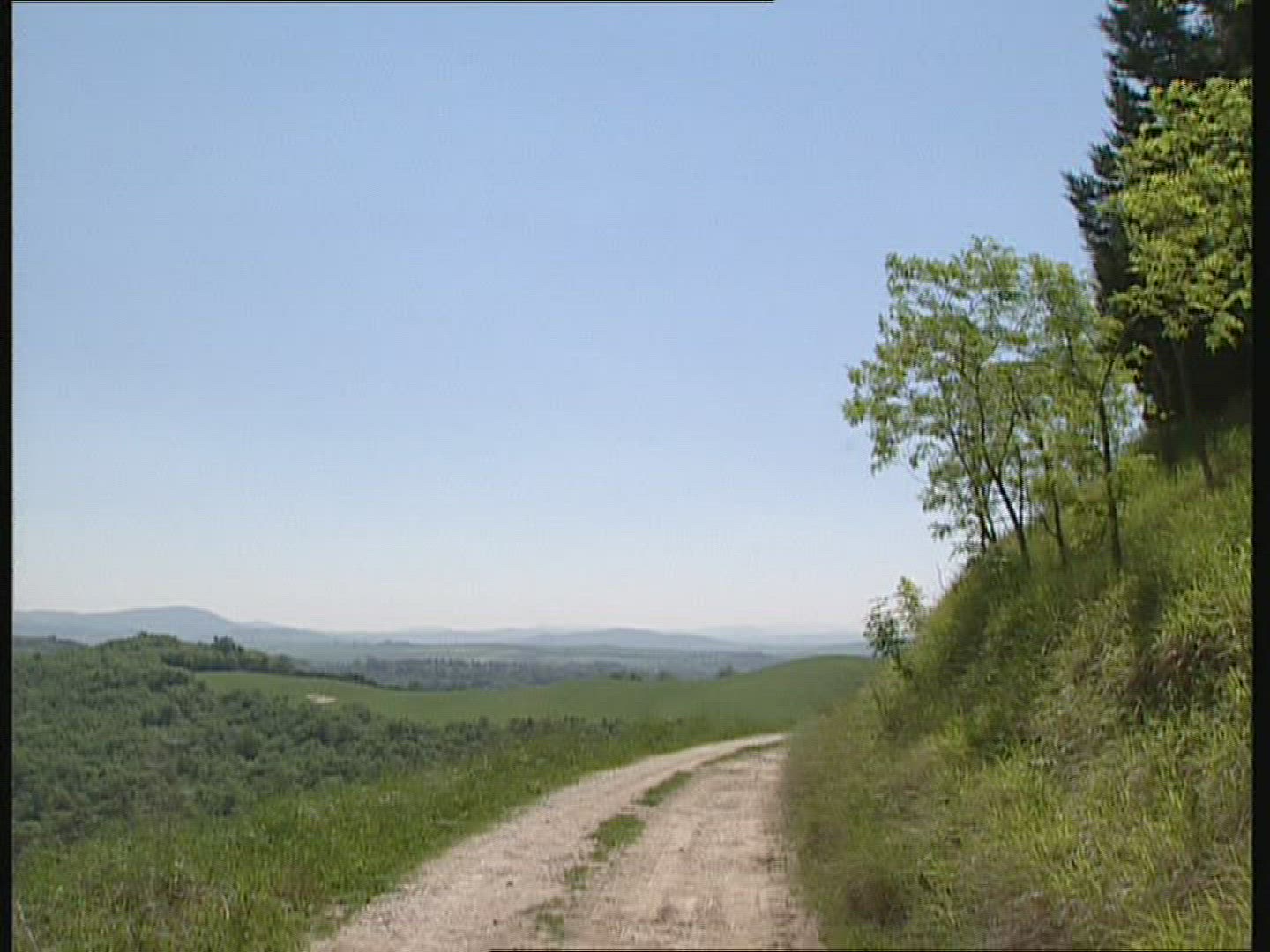 295373743 / Hilly Region / Tuscany / Italy