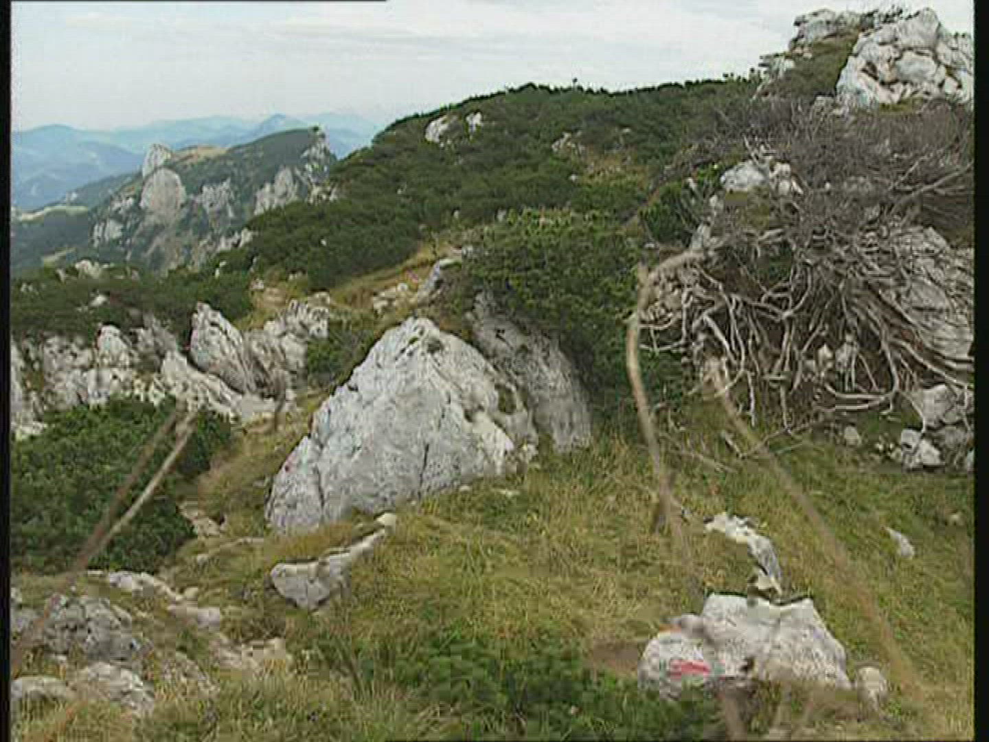 992528973 / Landscape / Bavarian Alps / Germany