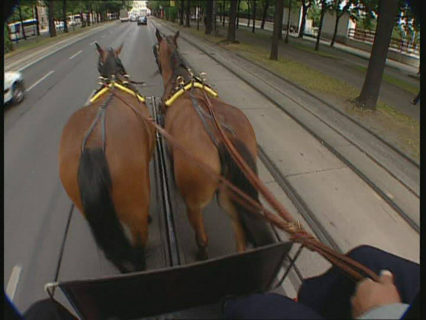 571745078 / Fiacre / Vienna / Austria