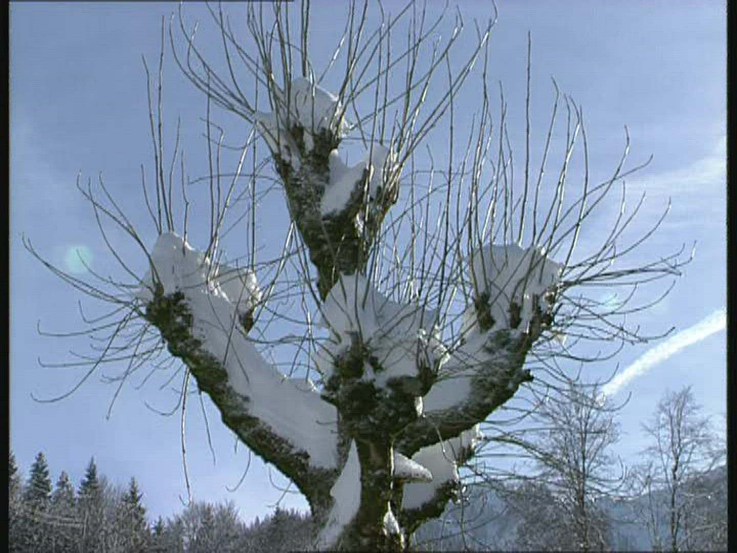 698861338 / Winter / Berchtesgadener Land / Germany
