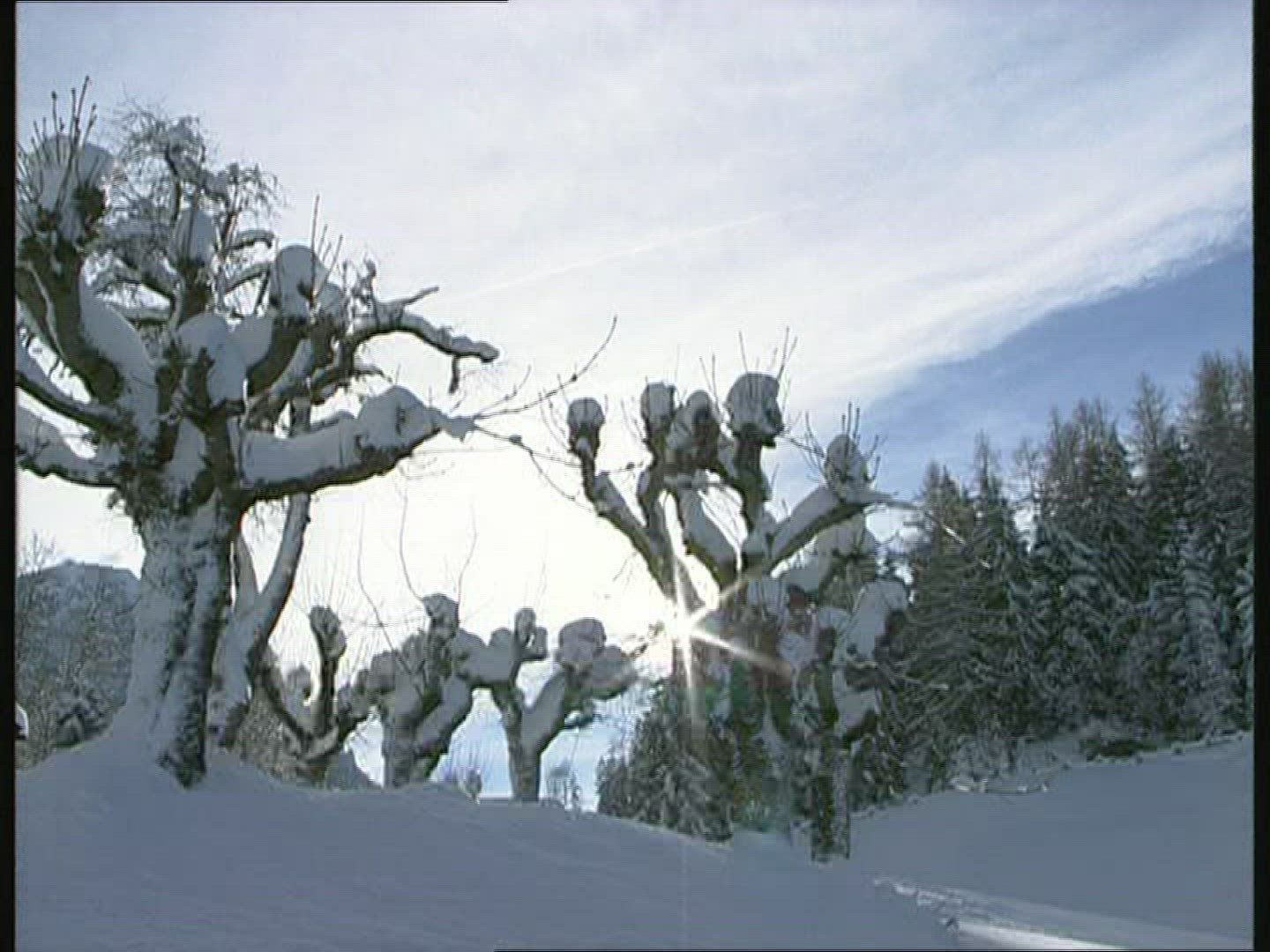 918404505 / Winter / Berchtesgadener Land / Germany