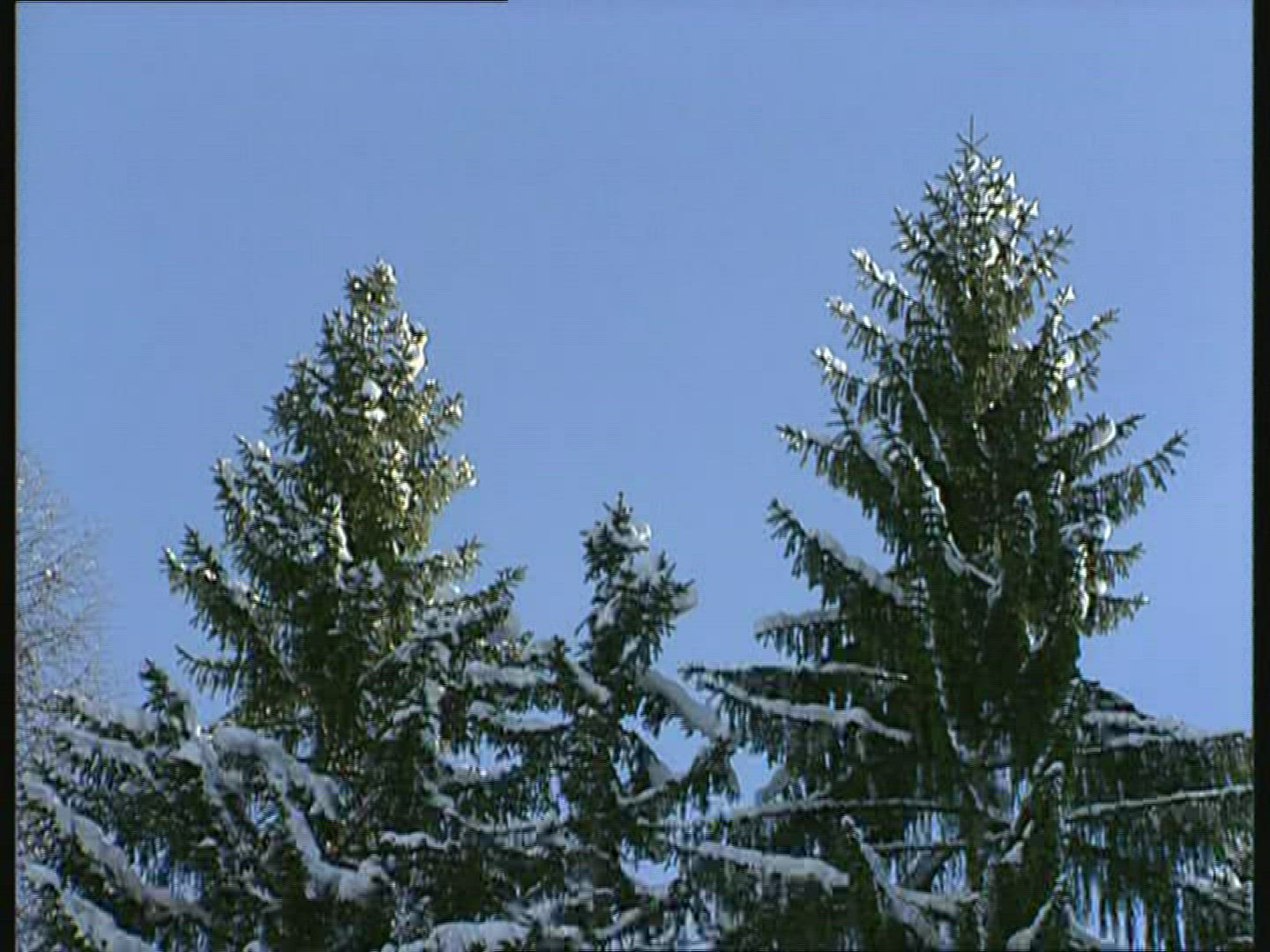 577455822 / Winter / Berchtesgadener Land / Germany