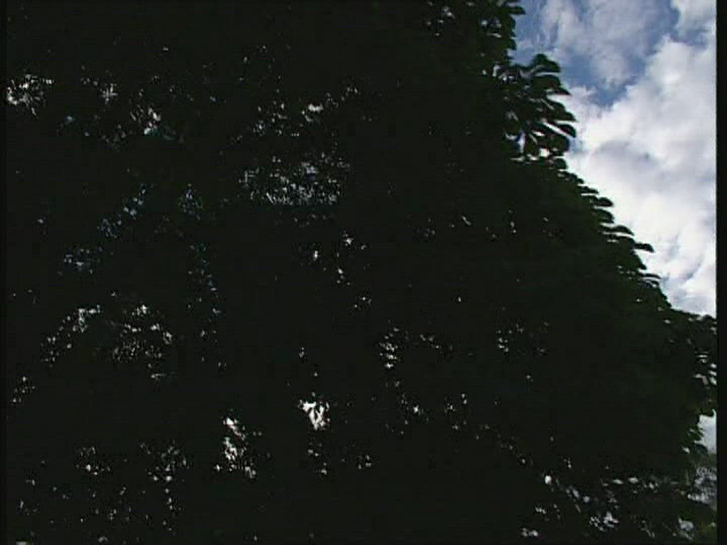 253819668 / Wiener Prater / Vienna / Austria