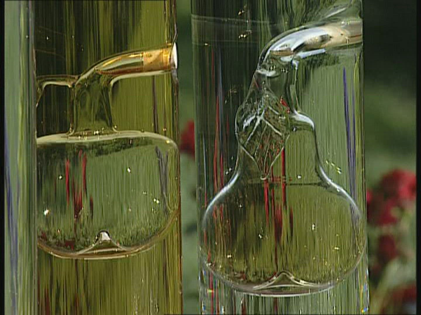 800787020 / Schnapps / Baden-Wuerttemberg / Germany