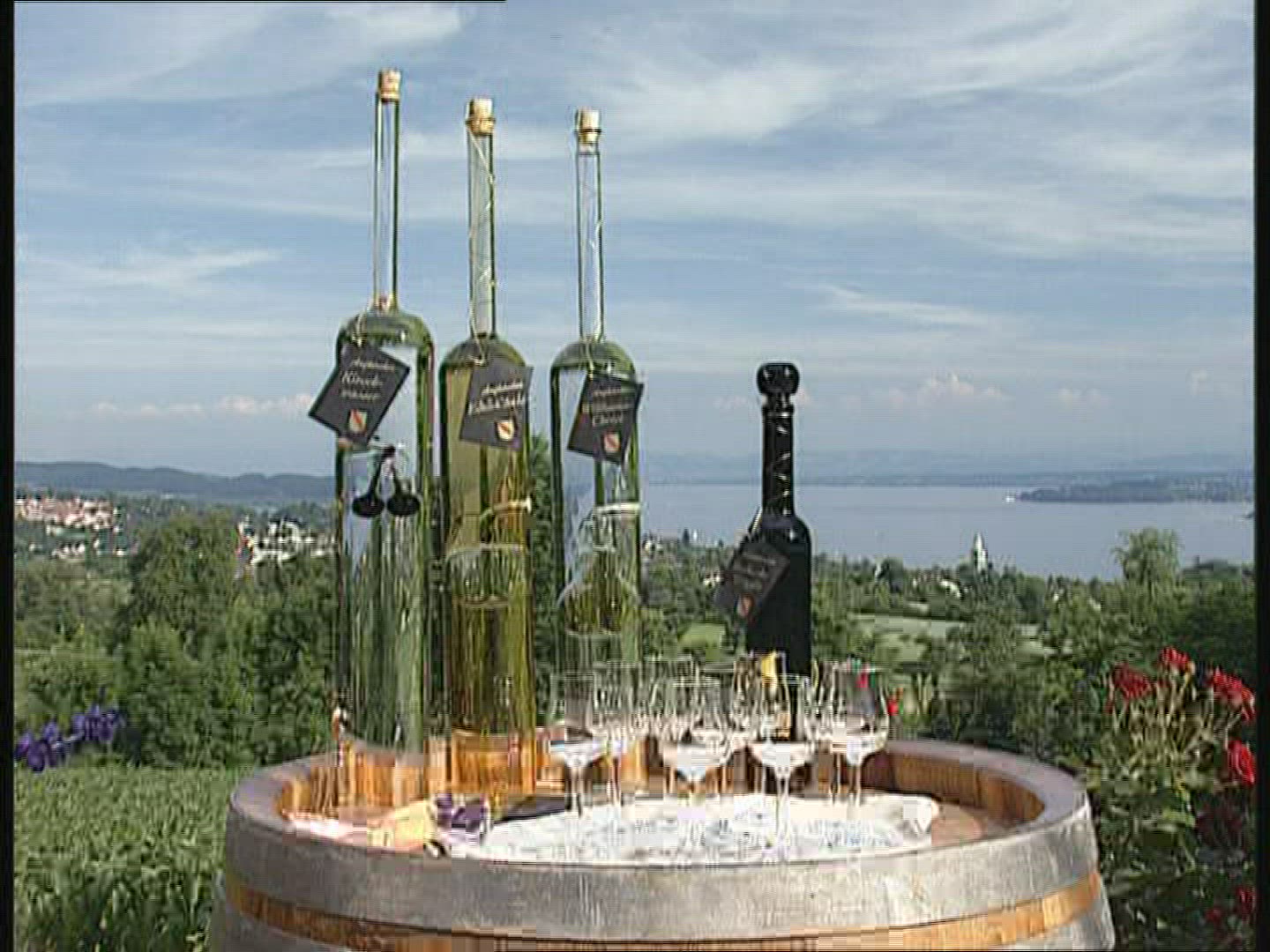 716068782 / Schnapps / Baden-Wuerttemberg / Germany