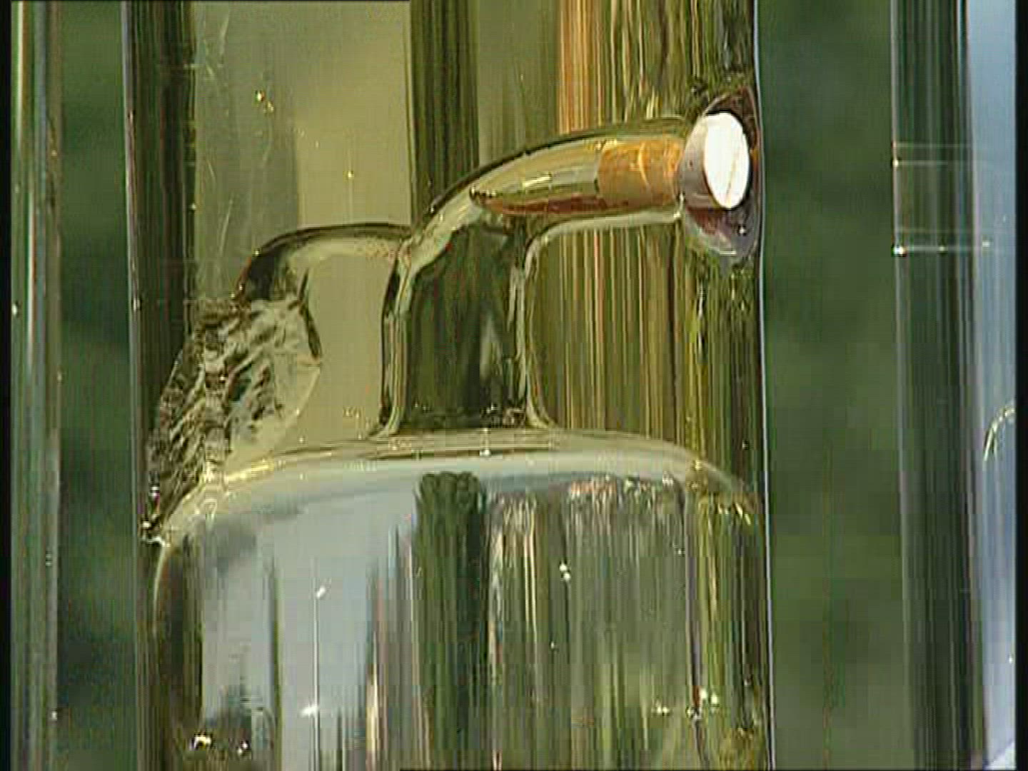435207244 / Schnapps / Baden-Wuerttemberg / Germany